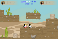 Penguin Couple Adventure